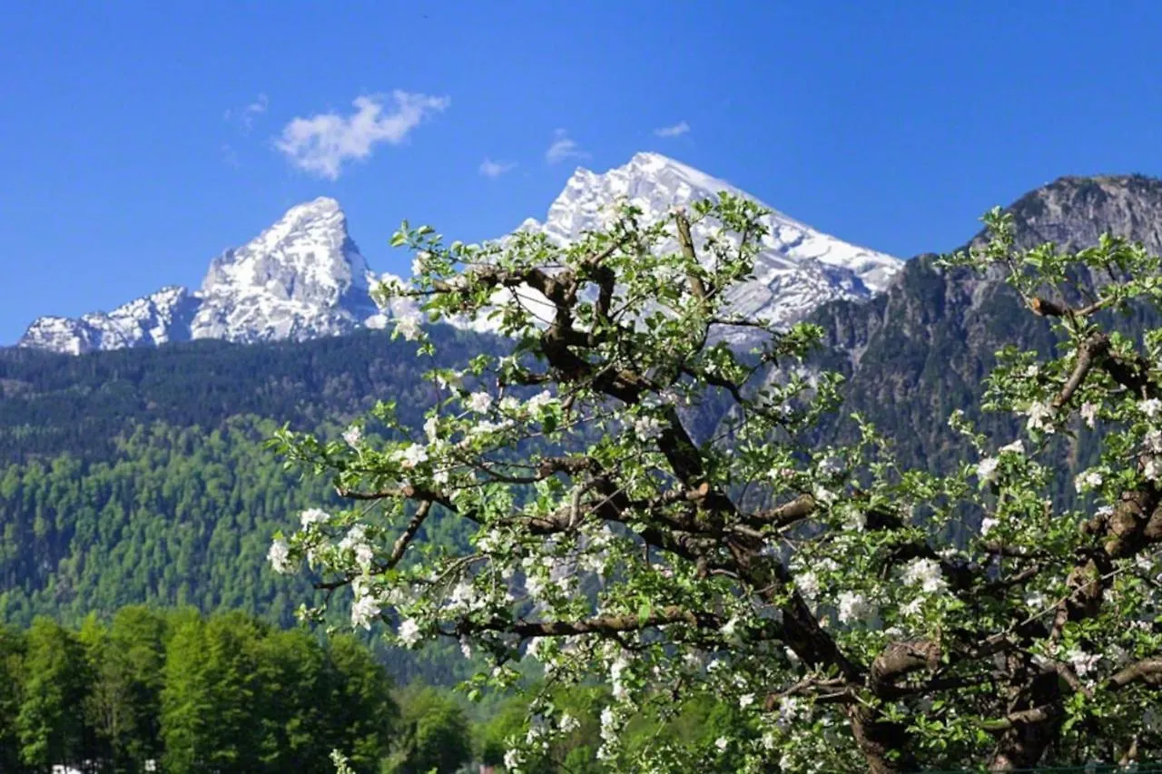 Villa Triembachhof Schönau am Königssee